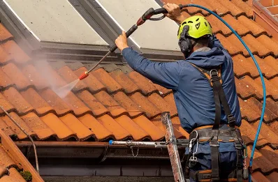 Démoussage et hydrofuge de toiture à Bedous